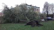 Ostrzeżenie meteorologiczne dla Warmii i Mazur. Mocno zawieje