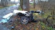 Opel z ogromną siłą uderzył w drzewo. 19 i 20-latek zginęli na miejscu
