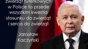Kaczyński w obronie zwierząt i dobrze o  PO