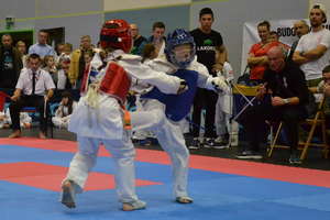 Święto karate kyokushin na IKO Mazury Cup w Ostródzie [zdjęcia]