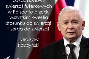 Kaczyński w obronie zwierząt i dobrze o  PO