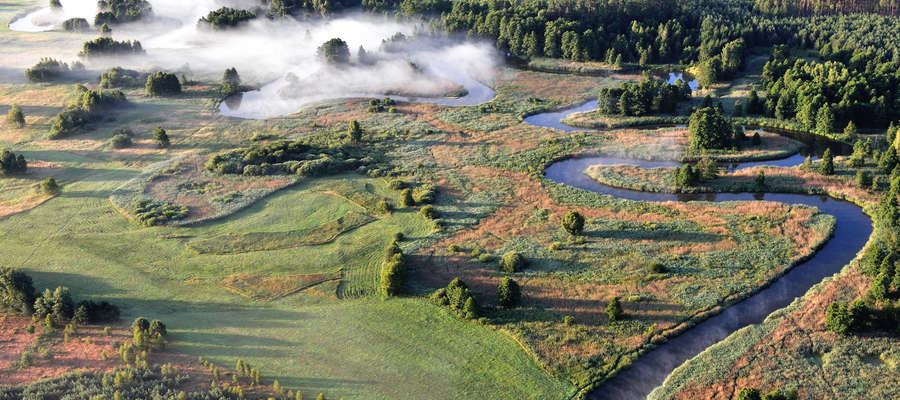 szlak pisa-narew