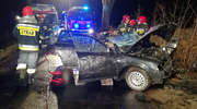 Audi A4 uderzyło w drzewo. Kierowca zakleszczony w samochodzie