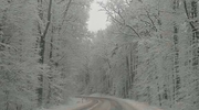 Zdjęcie Tygodnia. Zimowa droga w lesie