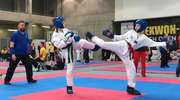 Karatecy i taekwondocy na czele trzech klasyfikacji 22. Plebiscytu
