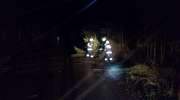 Strażacy mają za sobą pracowitą noc. 36 wyjazdów do skutków wichury