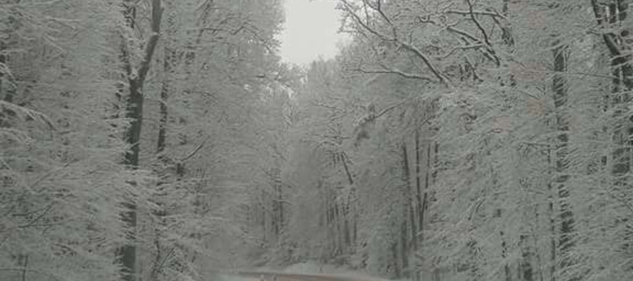 Zimowa droga koło Galin.