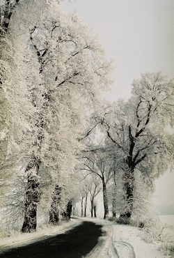 Zdjęcie Tygodnia. Zimowa droga koło Sępopola