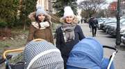 500 plus wyciąga nas z biedy albo... uczy kombinować