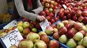 Minister rolnictwa: nie powinno być w tym roku problemu z eksportem jabłek