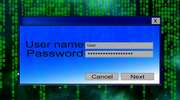 Nowy rok z nową e-usługą. Chcesz się zameldować? Zrobisz to przez internet
