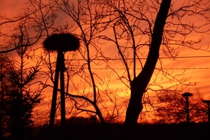 Zdjęcie Tygodnia. Zachód słońca w Żywkowie