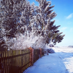 Zima w gospodarstwie ekologicznym w Łędławkach
