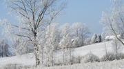 Zdjęcie Tygodnia. Zimowy krajobraz koło Kandyt