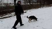 Pies wytropił włamywaczy. Doprowadził policję pod drzwi ich mieszkania