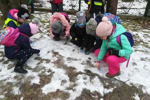Uczniowie z Piecek dokarmiają zwierzęta zimą