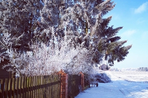 Zdjęcie Tygodnia. Zima w Łędławkach