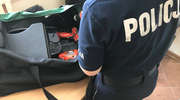 Włamywacz w rękach policjantów. Grozi mu 10 lat więzienia