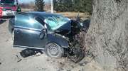 Kierowca toyoty uderzył w drzewo. Zginął pomimo reanimacji