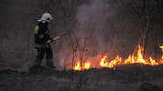Strażacy gasili płonące, suche trawy [FILMY]