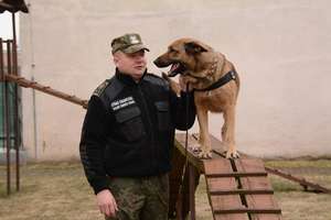 Pies Straży Granicznej wywęszył narkotyki 