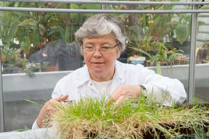 Irena Giełwanowska - profesor, która kocha rośliny, szczególnie te z Antarktyki