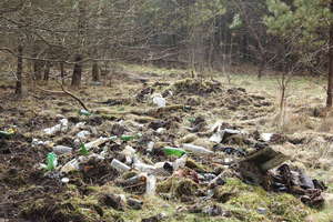 Pierwsze oznaki wiosny w lesie, to... wyrzucone butelki i odpady
