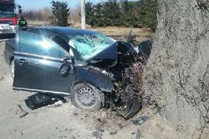 Kierowca toyoty uderzył w drzewo. Zginął pomimo reanimacji