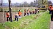Droga Bartoszyce - Kętrzyn jest Zieloną Drogą. Posadzono tam szpaler drzew