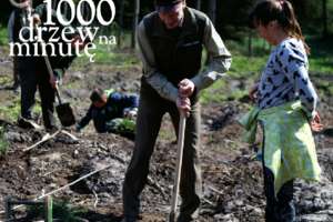 Leśnicy z Olsztyna posadzą 20 milionów drzew!