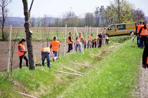 Droga Bartoszyce - Kętrzyn jest Zieloną Drogą. Posadzono tam szpaler drzew