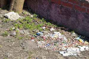 Śmieci i psie kupy na terenach zielonych to u nas wciąż codzienny widok...