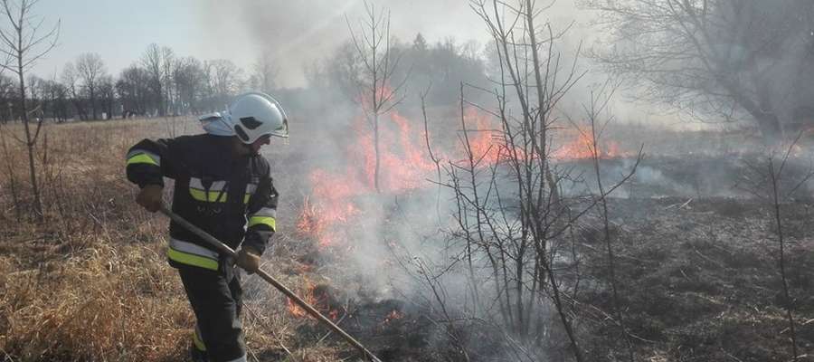 Strażacy walczą z rozprzestrzeniającym się pożarem traw w miejscowości Sztynort Duży