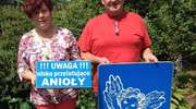 Aniołowo pod skrzydłami dobrego anioła
