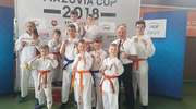 Karatecy z Iławy pokazali ducha walki podczas Mazovia Cup 2018