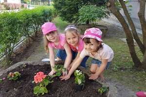 Akcja „Sadzimy kwiaty w przedszkolu” w MP „Słoneczna Ósemka” w Ełku