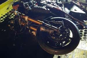 30-letni motocyklista uderzył w łosia. Mężczyzna zginął na miejscu