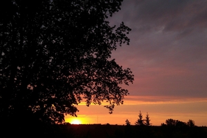 Zdjęcie Tygodnia. Zachód słońca w Bartoszycach
