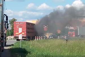 Ciężarówka z trzodą chlewną zapaliła się na drodze [VIDEO]
