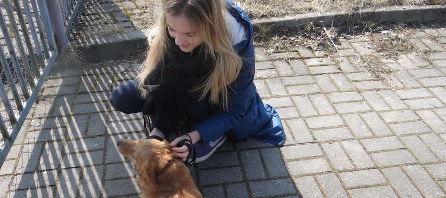 29 kwietnia w Kiwitach odbyła się nietypowa sesja fotograficzna. Paweł Oleszczuk wykonał kilkadziesiąt zdjęć bezdomnym psom. Na zdjęciu Wiktoria Opalach