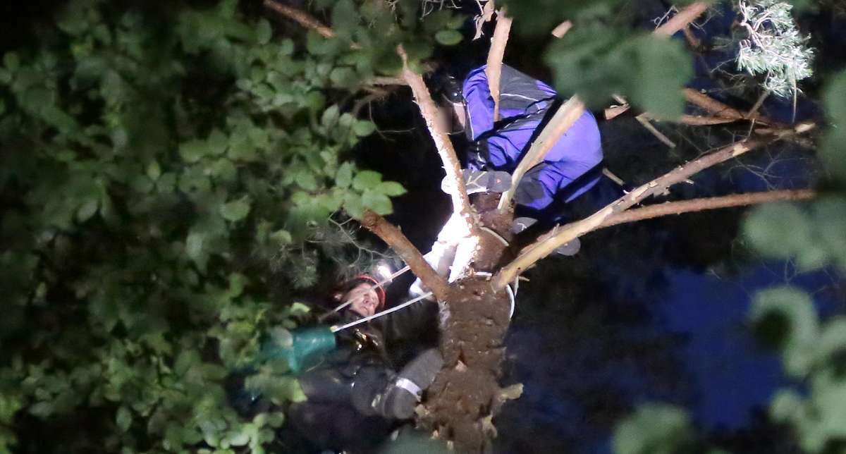 Awaryjne lądowanie na drzewie

Dorotowo-Stawiguda-awaryjne lądowanie mężczyzny ok.50 lat  motolotniarza na wierzchołku drzewa w lesie. Strażacy bezpiecznie zdjęli pilota , Teren ogrodzono i przekazano policji.