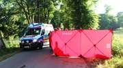 Wypadek w Demitach. Zginęła 19-latka