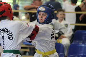 W Bezledach odbył się kolejny turniej Profesjonalnej Ligi Taekwondo. ZDJĘCIA, FILMY