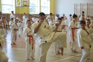 Karatecy podsumowali rok szkoleniowy 2017/2018 oraz zaliczyli egzamin na wyższe stopnie