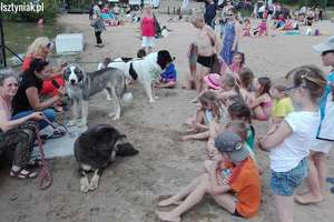 Piknik na plaży miejskiej już 17 czerwca