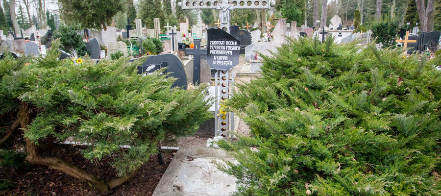 W Elblągu od kilku lat spekulowano, że osoby te pochowano w kwaterze jeńców wojennych na cmentarzu Agrykola