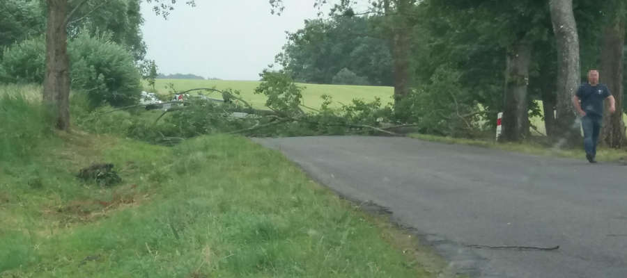 Drzewo zablokowało drogę Górowo Iławeckie - Bartoszyce