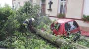 Drzewo spadło na samochód. Dużo utrudnień po burzy, która przeszła nad Olsztynem [ZDJĘCIA, VIDEO]
