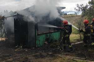 Pożar altanki na terenie ogródków działkowych w Węgorzewie