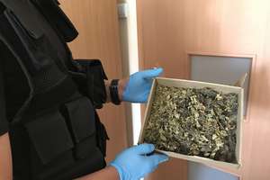 Policja znalazła w domu 30-latka 100 gramów marihuany